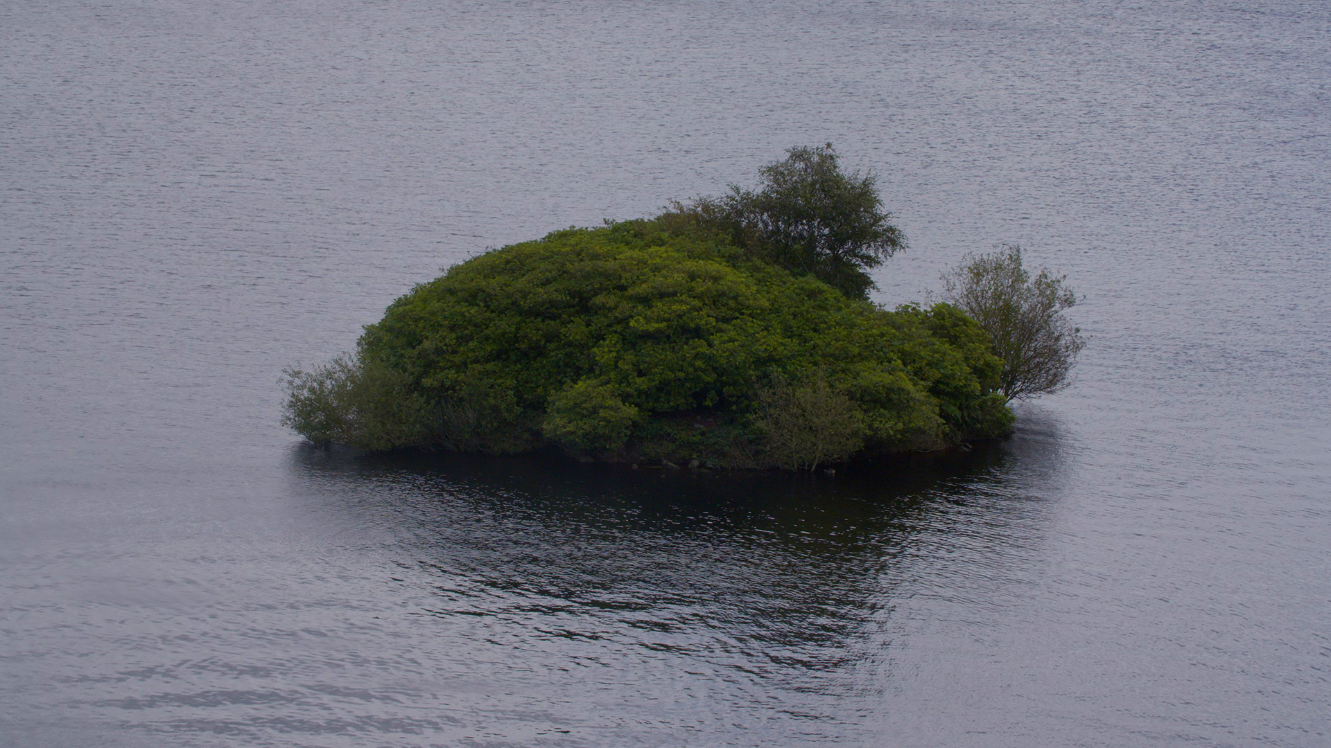 A photograph of a small island covered in green bushes in the middle of a body of water.