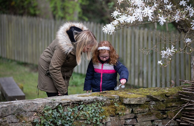 An adult and child looking at a moss covered wall. The child is using a spoon to collect a sample.