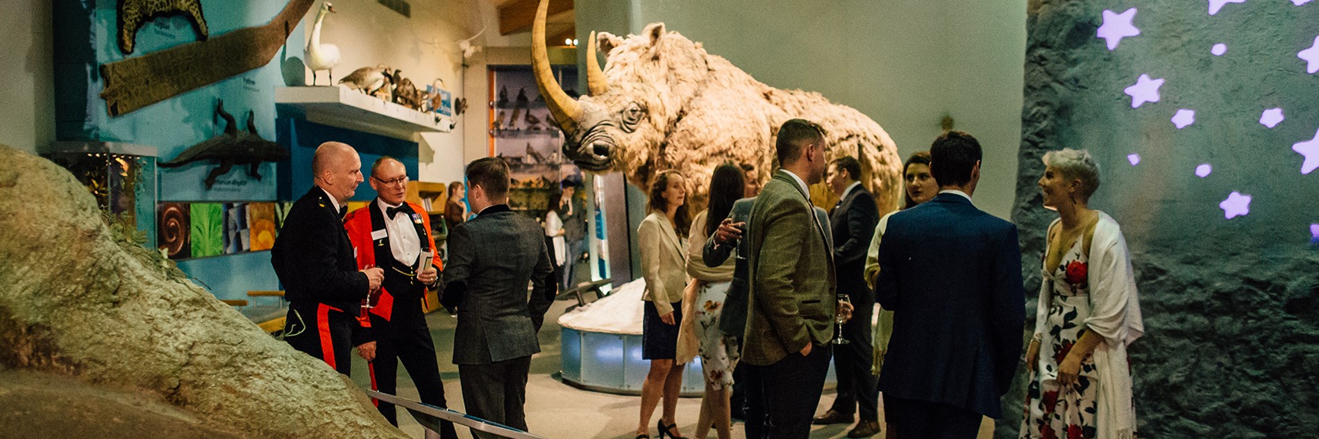 A group of people socialising in formal clothes at a drinks reception at Weston Park Museum in front a life-size model of a woolly rhino.