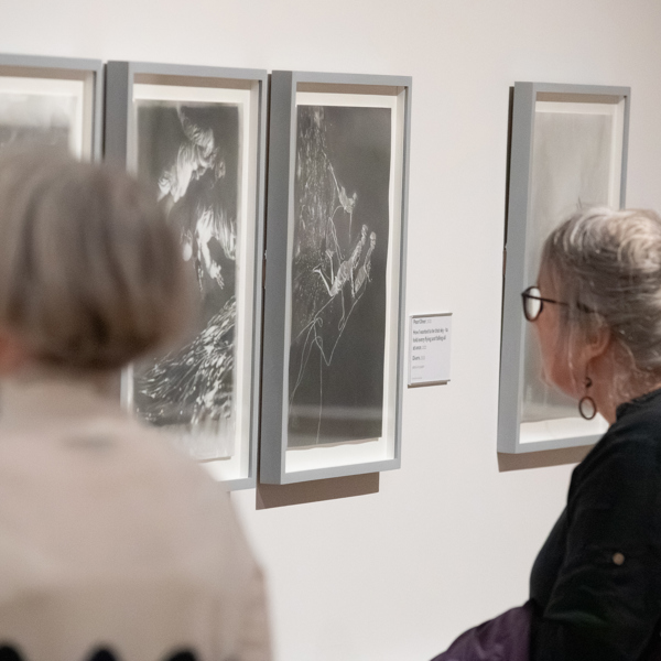 Two visitors look at a series of detailed pencil drawings in an art gallery