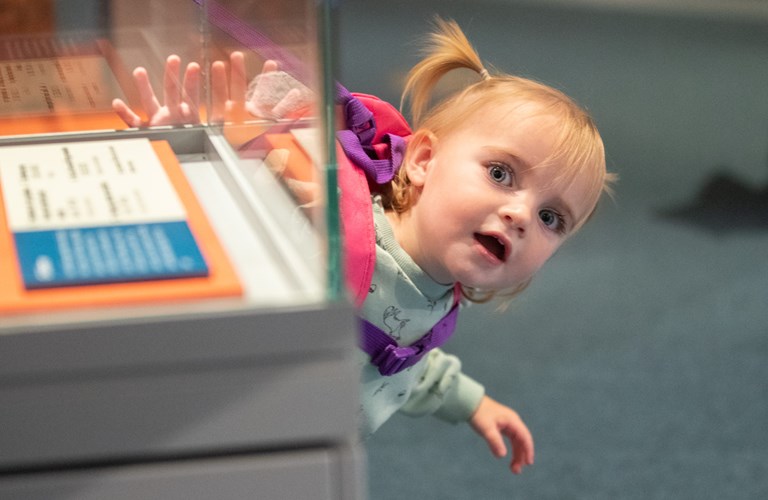 A young child with their mouth open, peeking round a display case. 