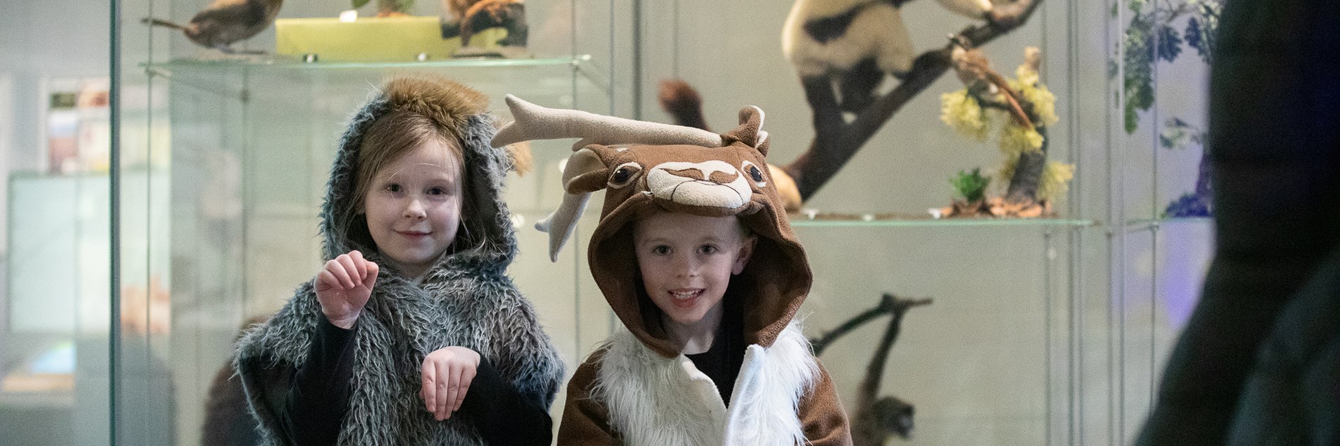 Two young children are dressed in animal costumes, standing in front of glass cabinets with taxidermied animals inside. 