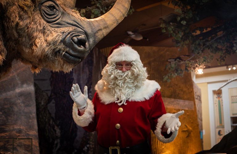 Santa is stood in front of a model of a woolly rhino in Weston Park Museum.