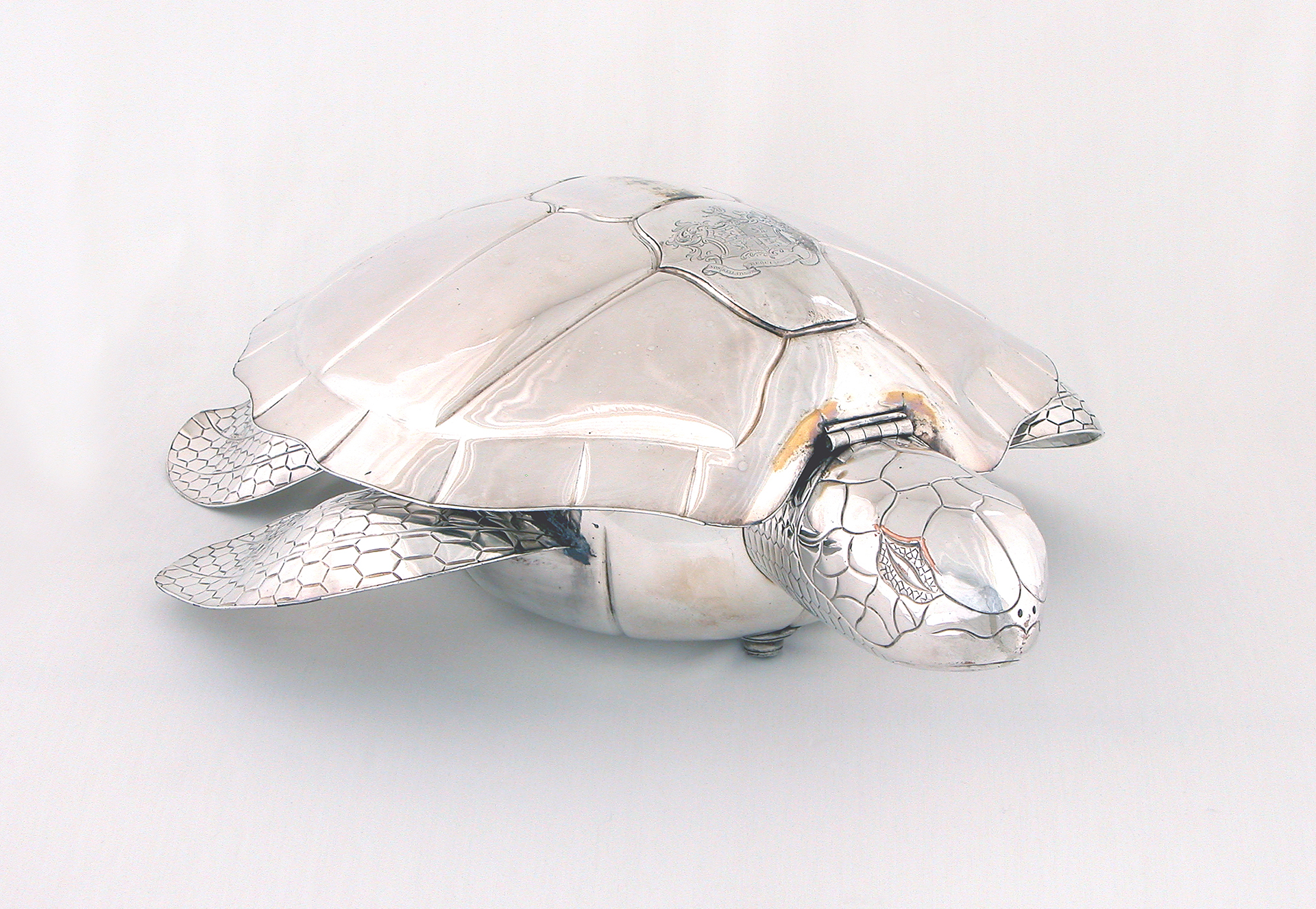 A shiny metal turtle with markings detailing its shell and flippers on a white background. 