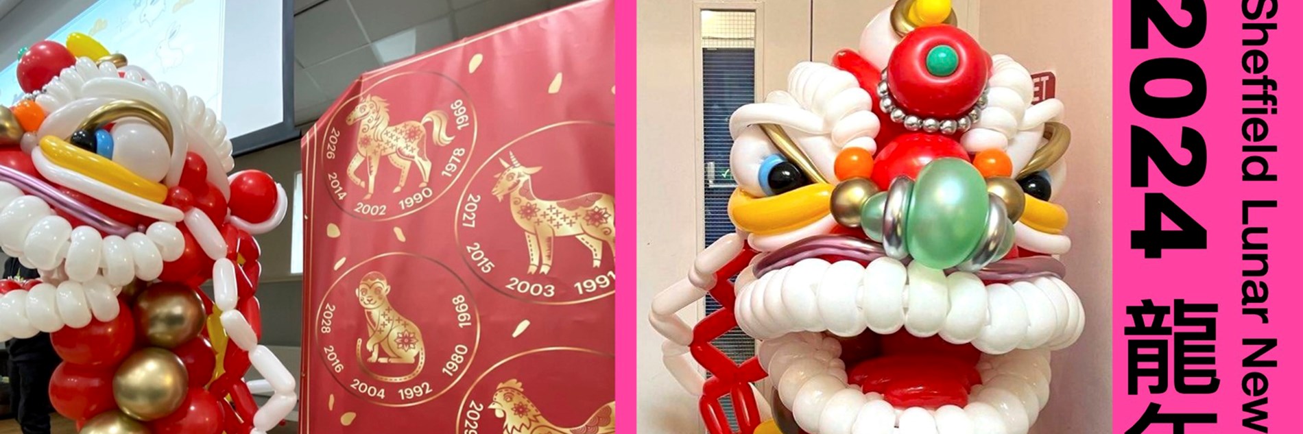 Composite image of 2 photographs of a large colorful balloon sculpture of a dragon, with a bright pink banner down the right hand side which reads Sheffield Lunar New Year Celebration 2024