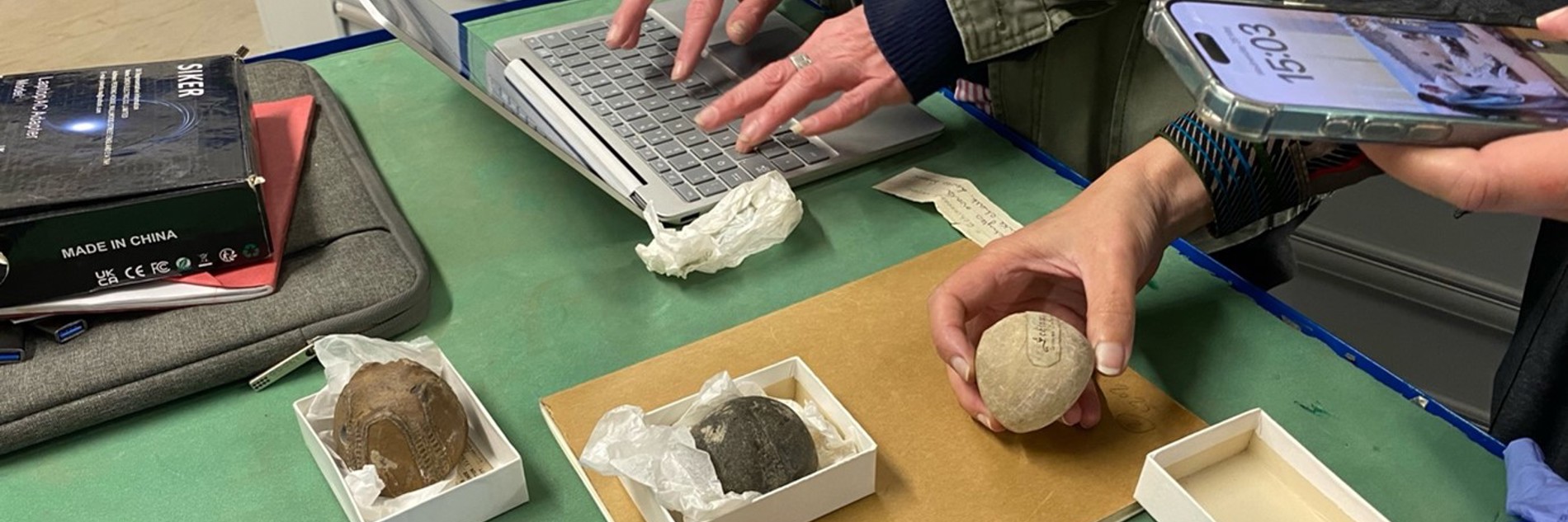 A photograph of two people looking at various natural history collection objects on a table. Only their arms and torsos are visible. There blue gloves, notepads and a laptop on the table also. The collection items, in boxes, are round in shape and packaged in tissue