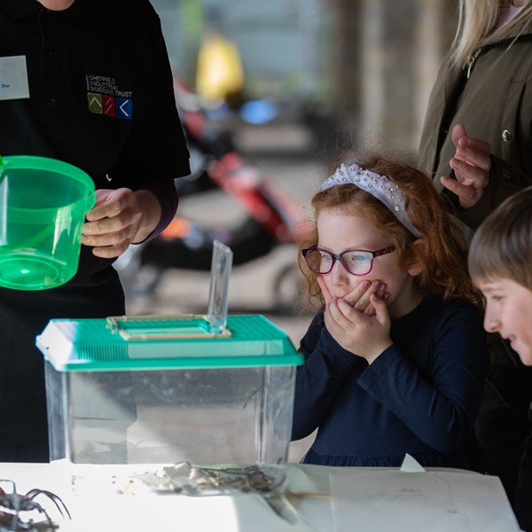 Three primary school aged children looking at a small animal tank, one has their hands over their mouth, looking surprised. 