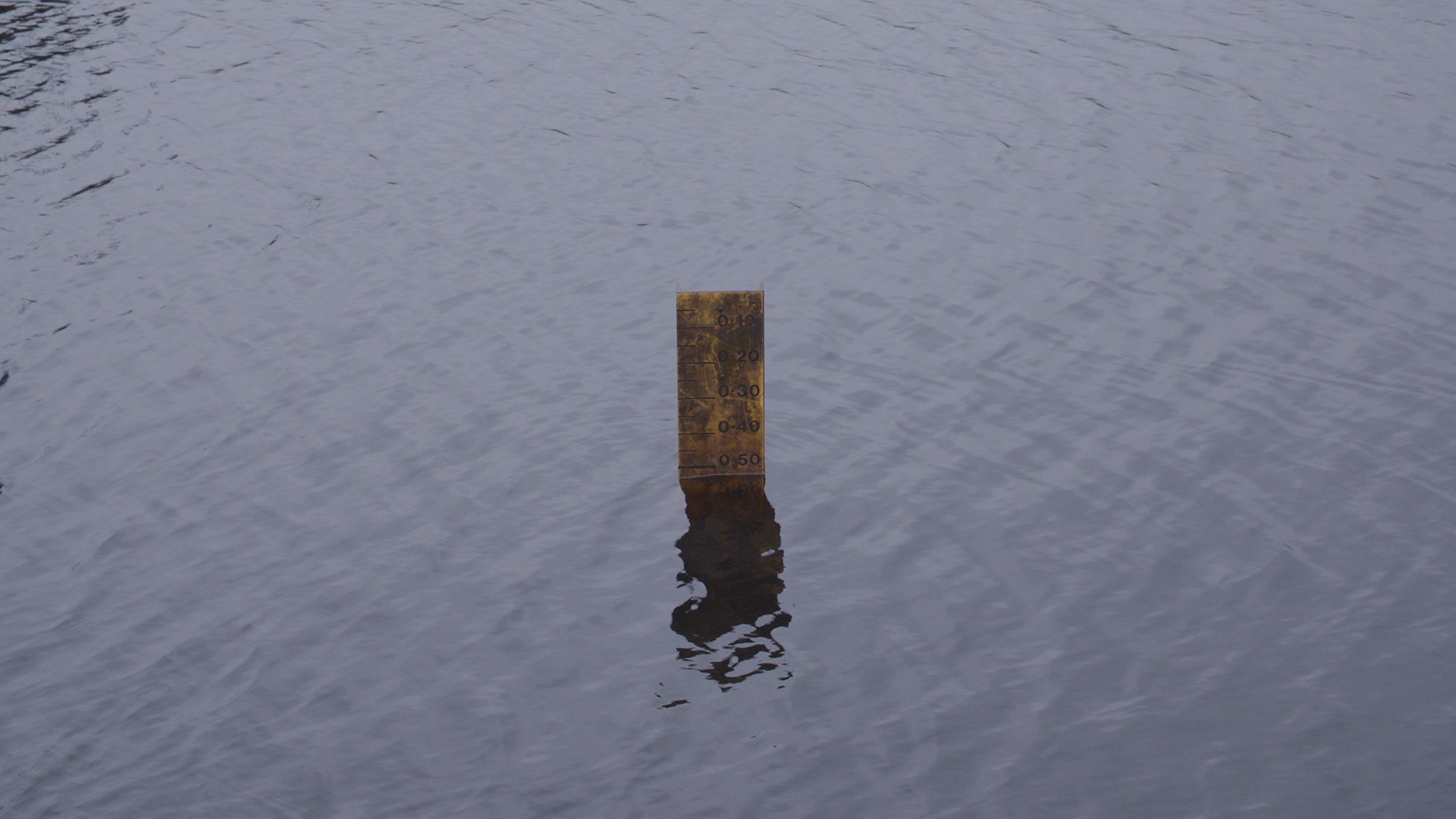 A photograph of the top of a measure appearing out of a body of water.