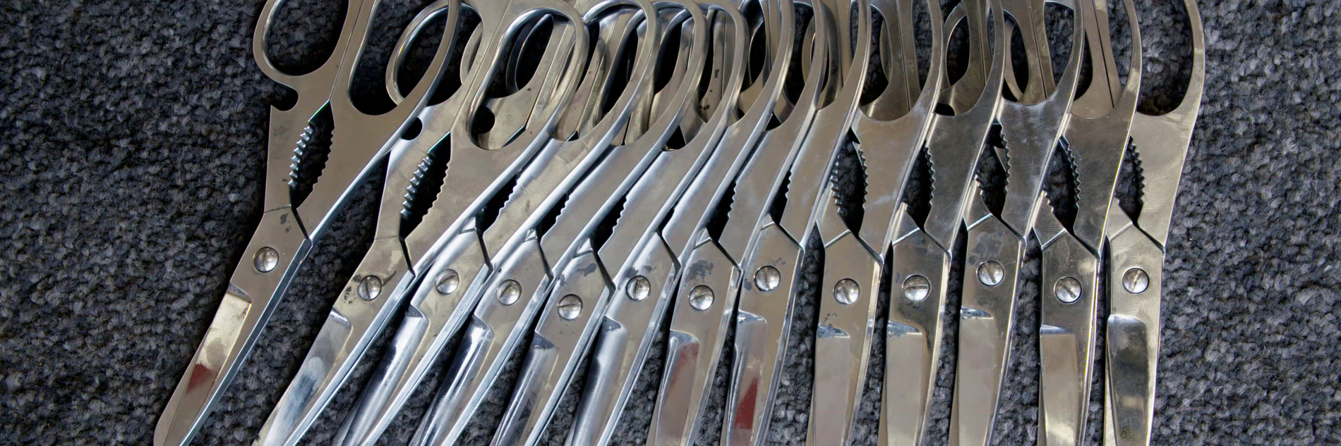 A photograph of 13 pairs of scissors 