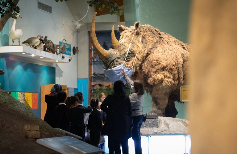 A group of primary school students listening to an adult talk in the What On Earth gallery by a lifesized woolly rhino model. Both the speaker and the rhino are wearing facemasks.
