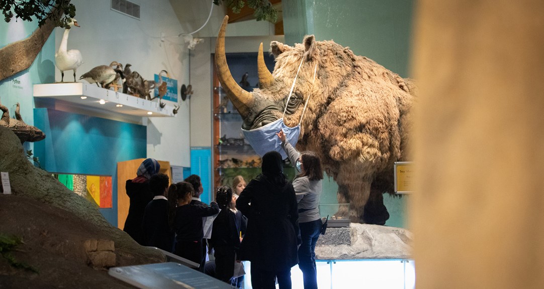 A group of primary school students listening to an adult talk in the What On Earth gallery by a lifesized woolly rhino model. Both the speaker and the rhino are wearing facemasks.