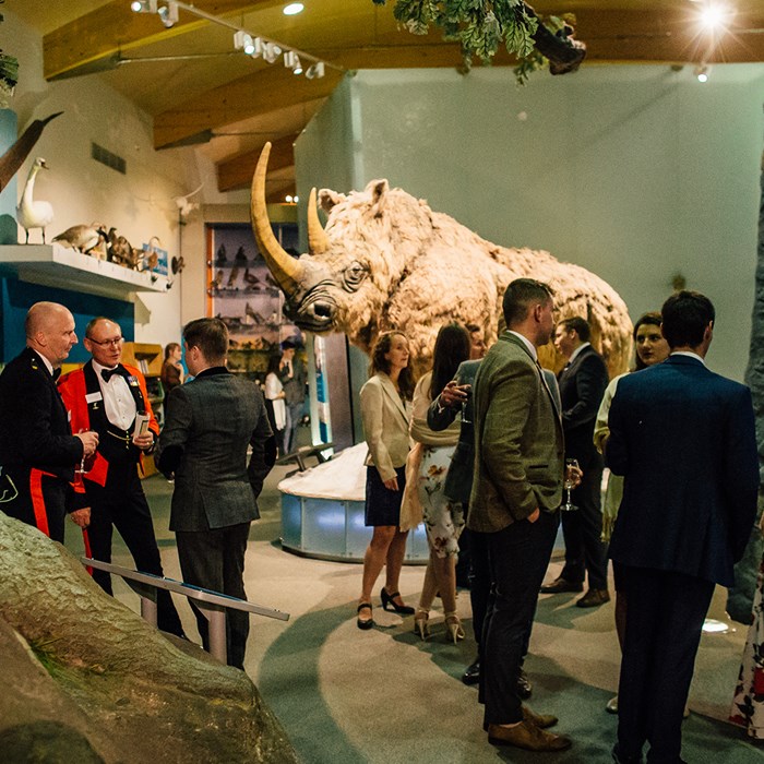 A group of people socialising in formal clothes at a drinks reception at Weston Park Museum in front a life-size model of a woolly rhino.