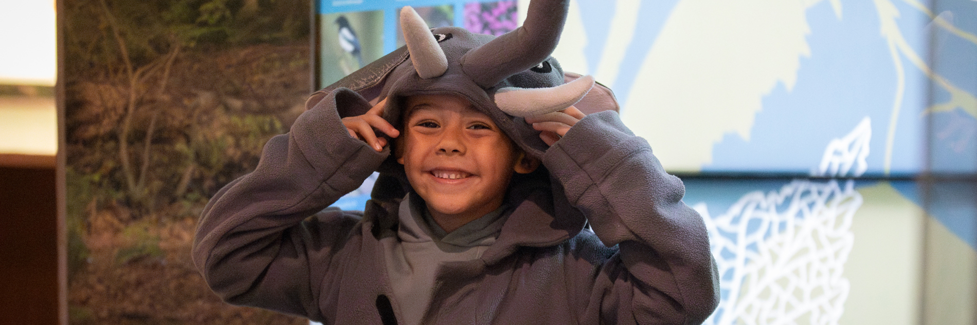 A photograph of a young boy wearing a grey elephant onesie, smiling towards the camera