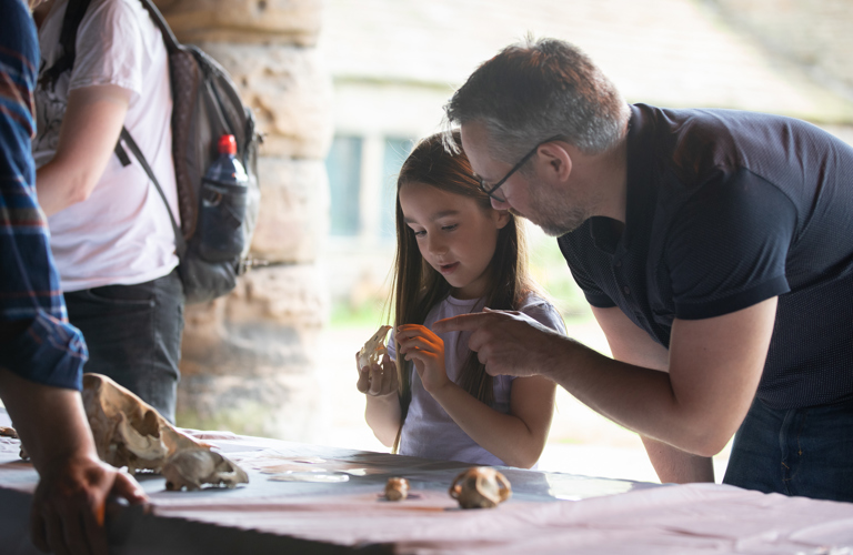 An adult and child look closely at an animal skull at an activity table.