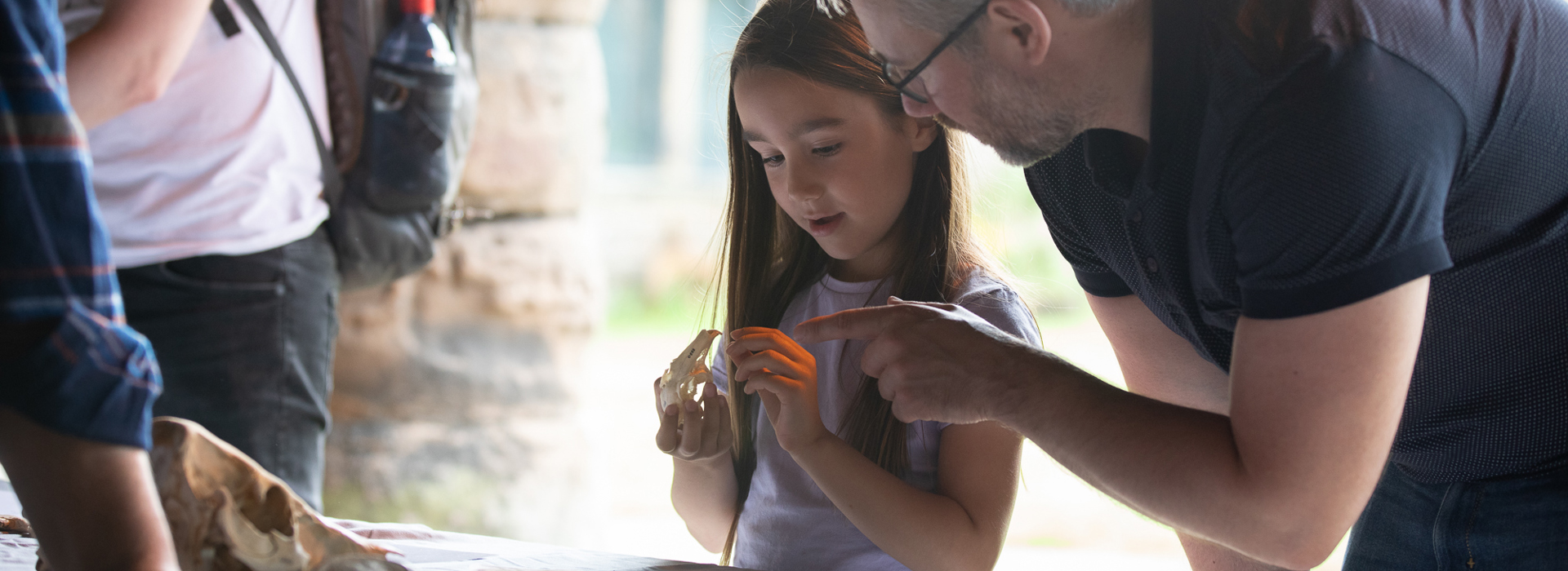 An adult and child look closely at an animal skull at an activity table.