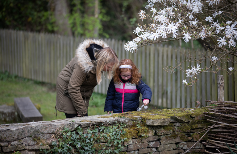 A photograph of a woman and a young girl looking at details in Abbeydale Industrial Hamlet. There a green leaves going up the wall and a tree full of white flowers to their right.