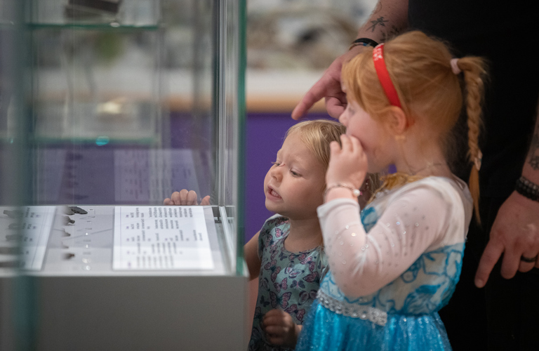 Two young children peeking into a display cabinet at Weston Park Museum.