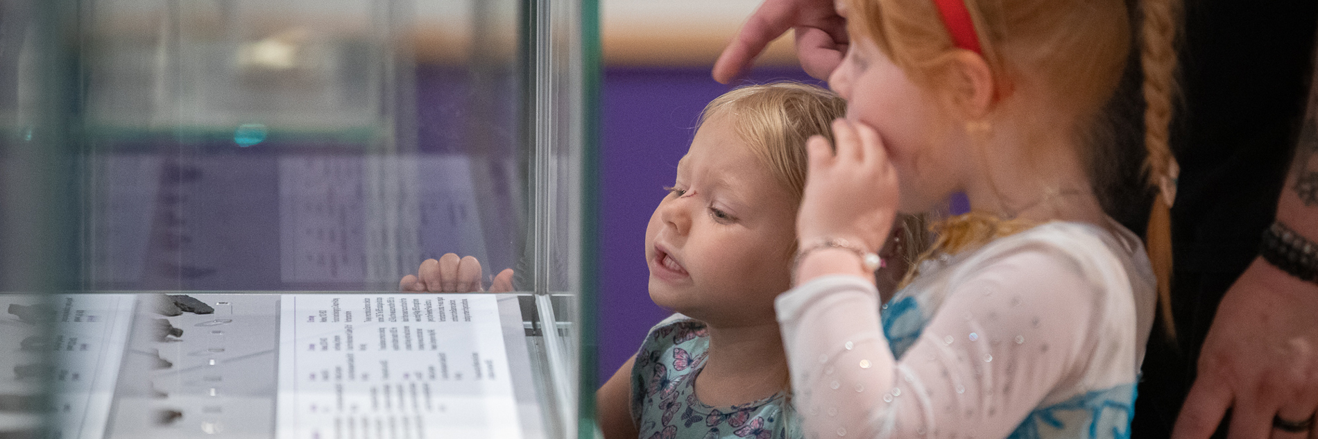 Two young children peeking into a display cabinet at Weston Park Museum.