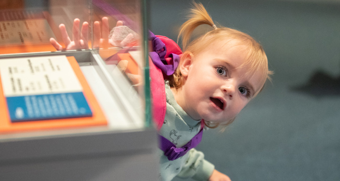 A young child with their mouth open, peeking round a display case. 