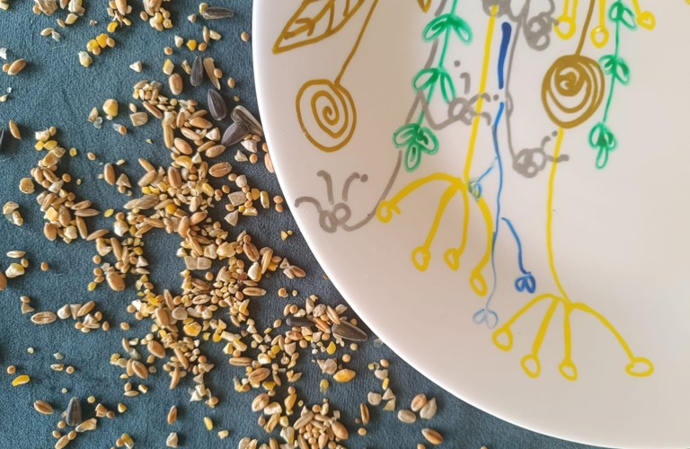 A photograph of a decorated plate next to seeds and nuts. 