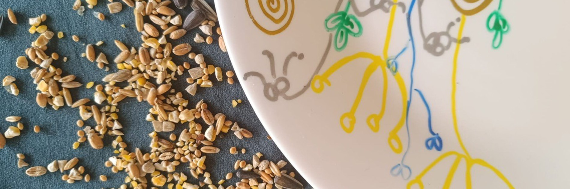 A photograph of a decorated plate next to seeds and nuts. 
