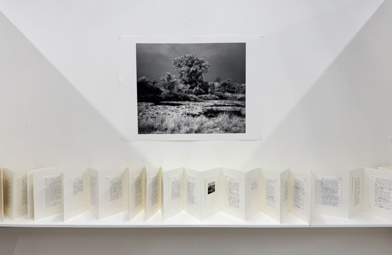 A black and white landscape photo is shown on a white wall. Below it, on a white shelf, are numerous white pages with black text on, concertinaed across the shelf. 