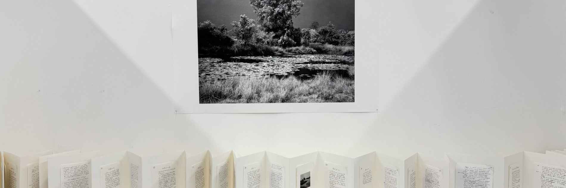 A black and white landscape photo is shown on a white wall. Below it, on a white shelf, are numerous white pages with black text on, concertinaed across the shelf. 