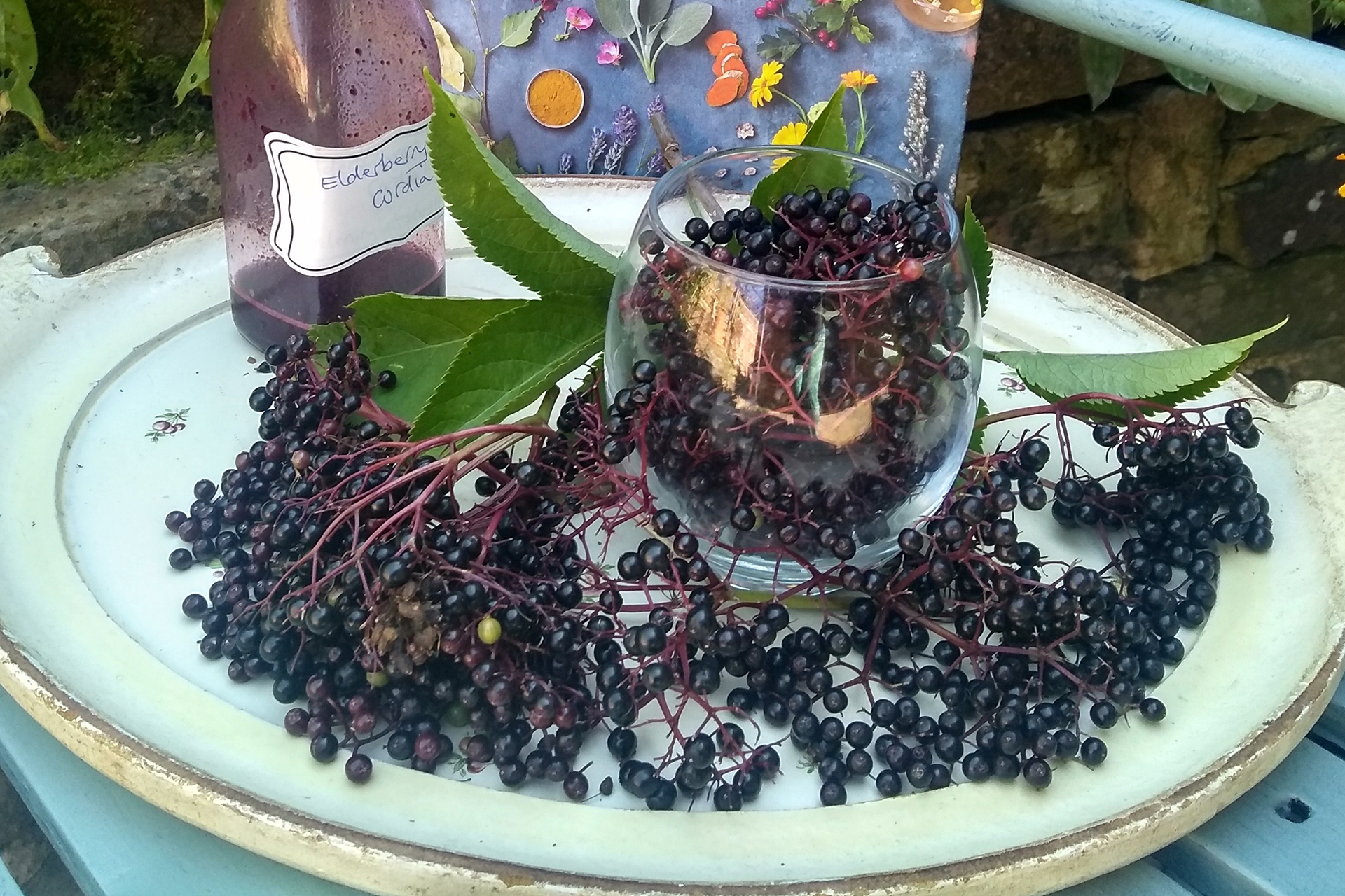 Elderflower berries, leaves and cordial on a large ceramic plate in front of a weathered brick wall. Behind the plate there is a small purple display board with various flower and leaf cuttings.  