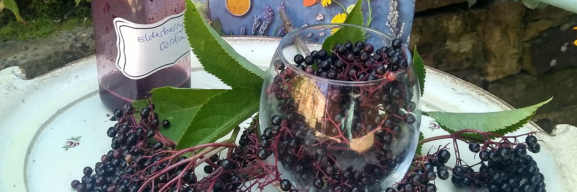 Elderflower berries, leaves and cordial on a large ceramic plate in front of a weathered brick wall. Behind the plate there is a small purple display board with various flower and leaf cuttings.  
