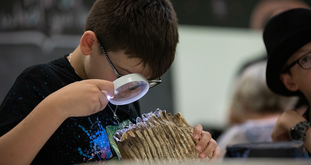 A primary school aged child looking at a section of animal bone through a magnifying glass.