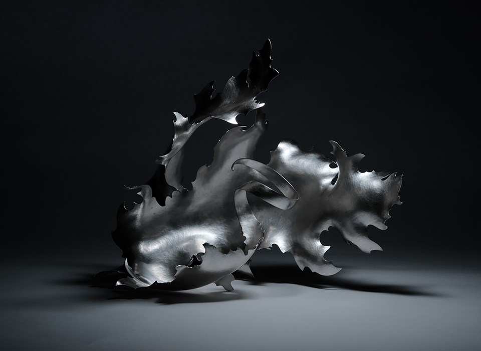 A sculptural, silver coloured metal form reminiscent of a flame, a wave or an exotic plant. It is shown against a monochrome background with high contrast lighting.