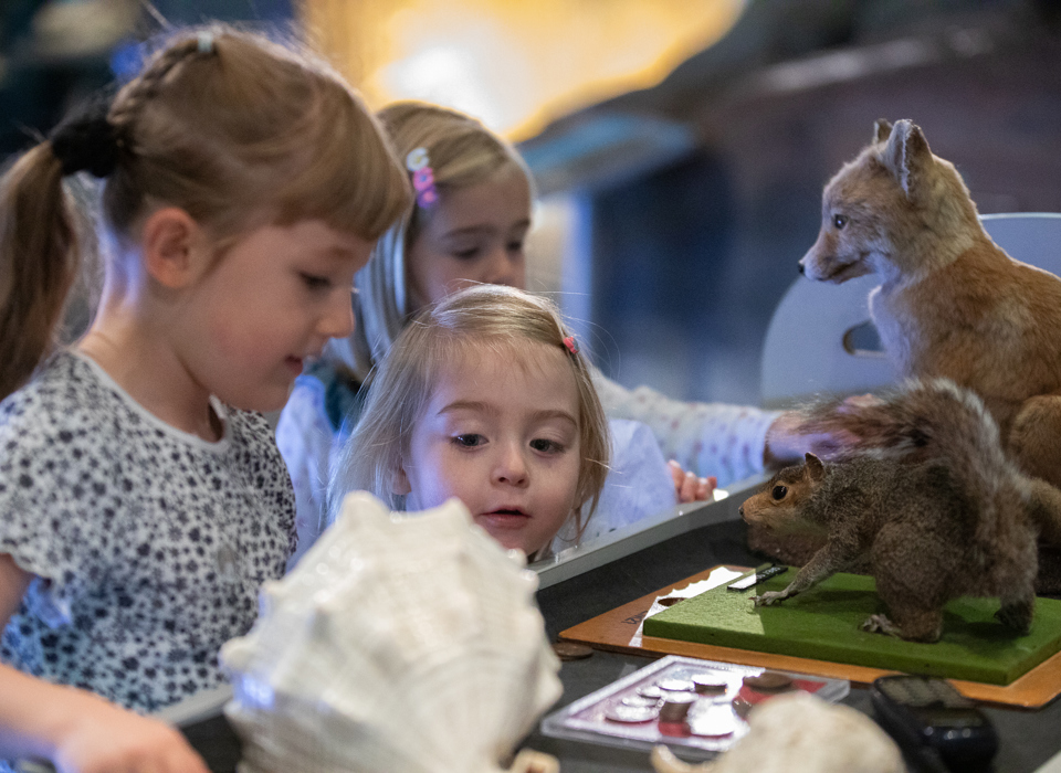 A group of children look at at objects including taxidermy animals and shells