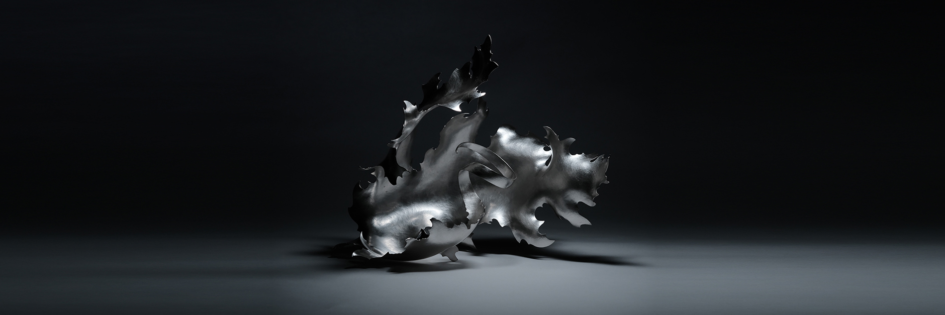 A sculptural, silver coloured metal form reminiscent of a flame, a wave or an exotic plant. It is shown against a monochrome background with high contrast lighting.