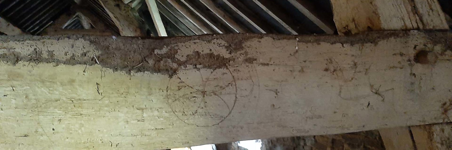 A photograph of a roof beam in a building. On the roof beam there are marks and symbols.   