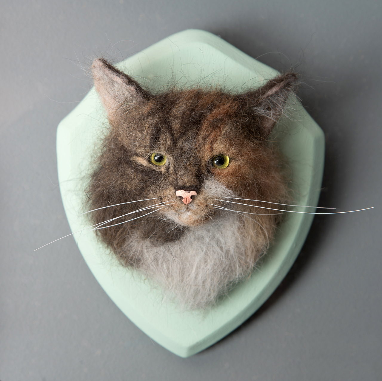 A faux taxidermy tabby cat head mounted on a wooden shield painted duck egg blue