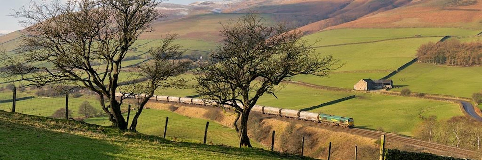 A photograph showing a train travelling through the peak district. Two trees in a field are shown in the foreground, the train travels through the mid, and fields and sky fill the background.