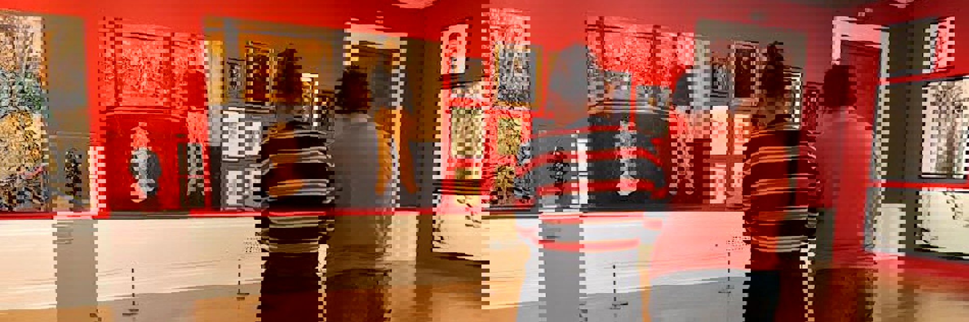 Two people stand in a red painted gallery in Graves Gallery. They are facing away from the camera, looking at a large self portrait on the wall. 