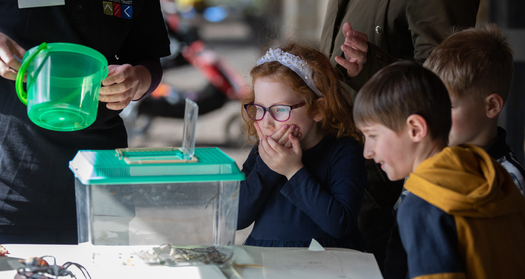 Three primary school aged children looking at a small animal tank, one has their hands over their mouth, looking surprised. 