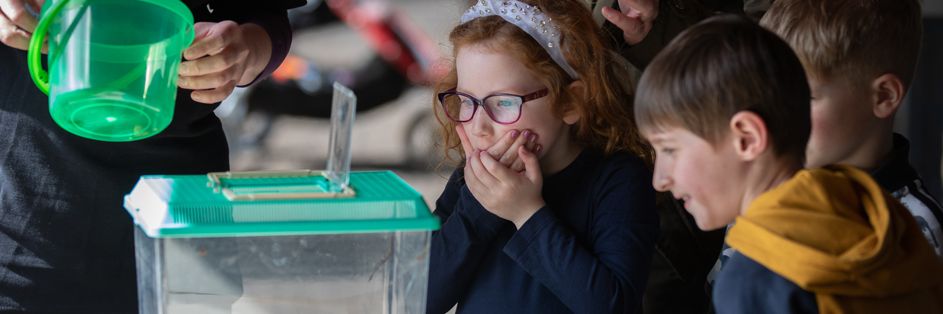 Three primary school aged children looking at a small animal tank, one has their hands over their mouth, looking surprised. 