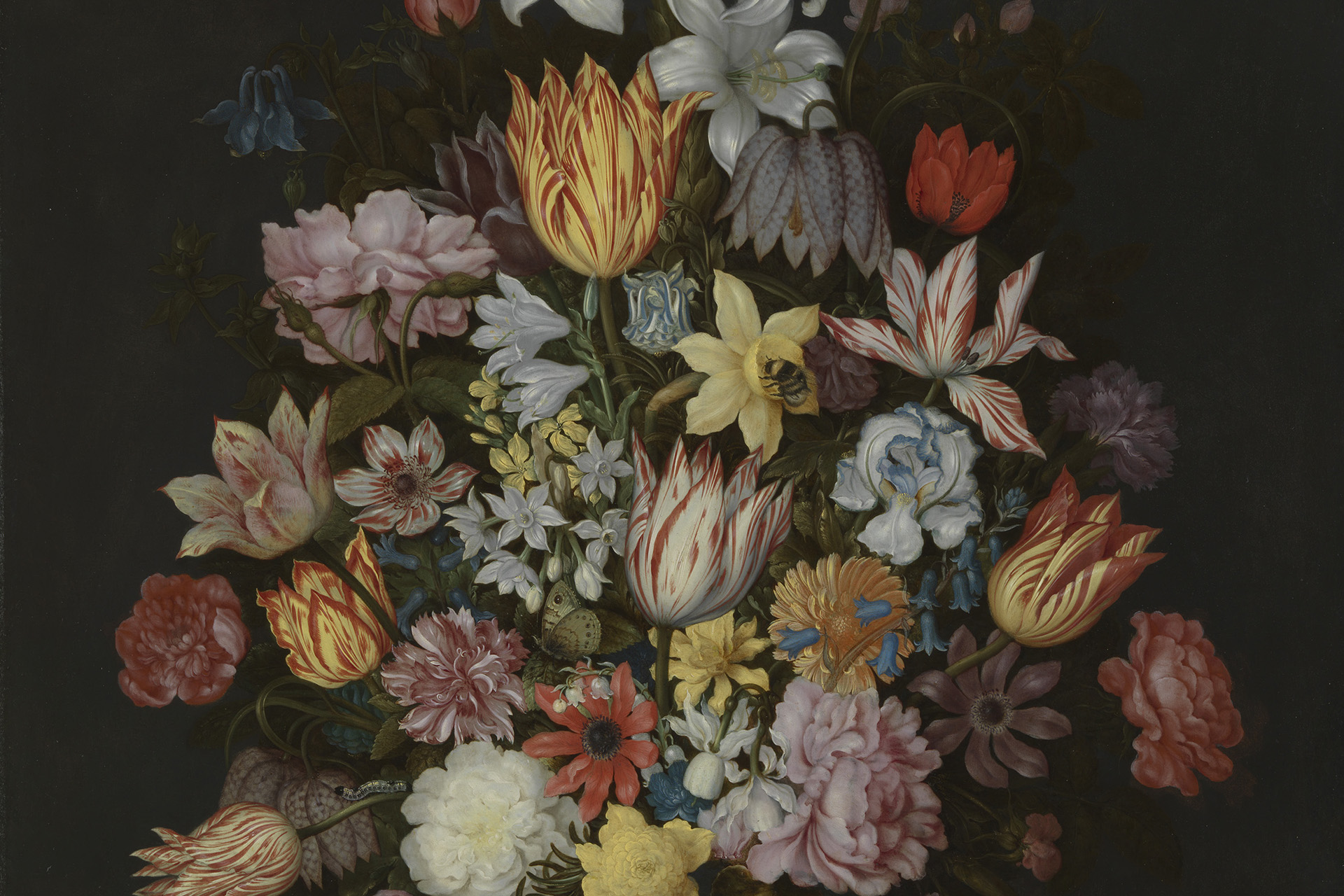 17世紀 花卉画 画集 17th-century Flower Painting 17世紀 花卉画 画集