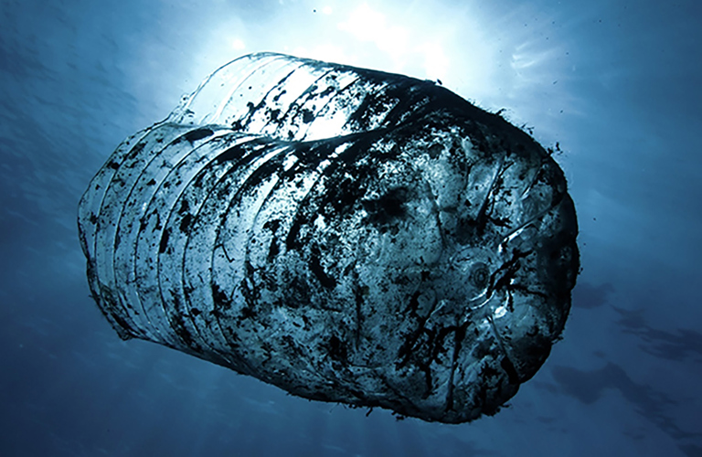 Half a plastic bottle covered in algae growth shown from underneath floating in the sea. 
