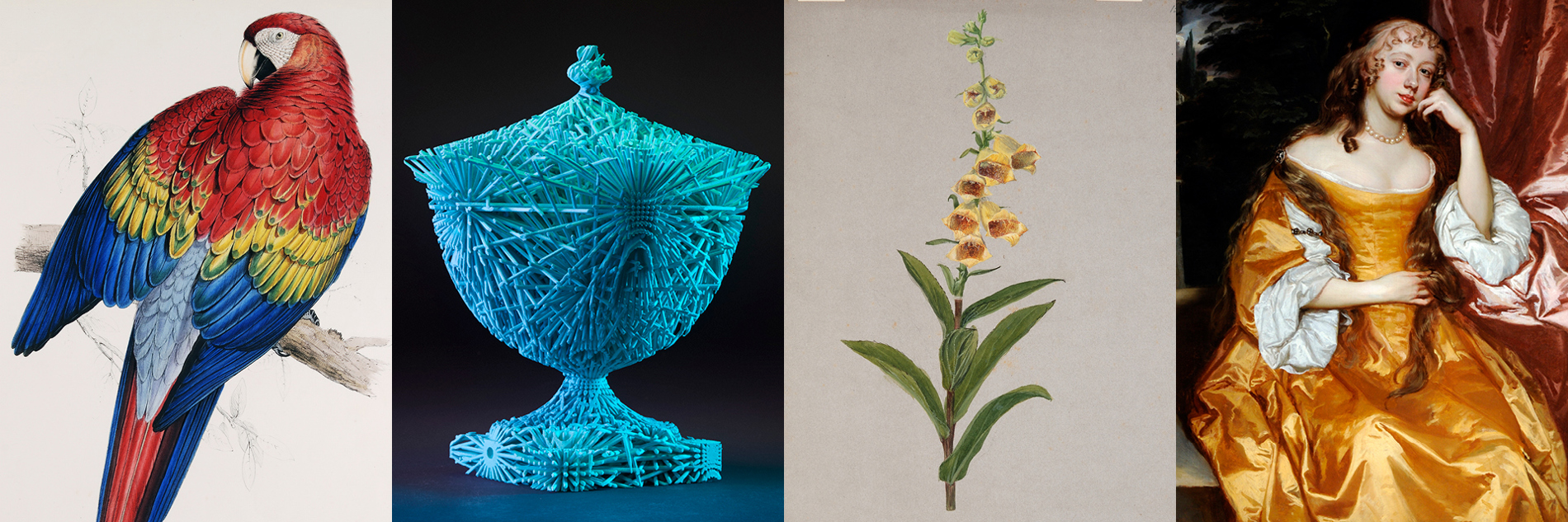 A composite image featuring, L-R: a colour ornithological illustration of a parrot; a blue sculptural form in the shape of a chalice; a colour botanical illustration of a foxglove, a historic painting of a woman in a ochre yellow dress.